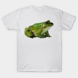 Frog T-Shirt